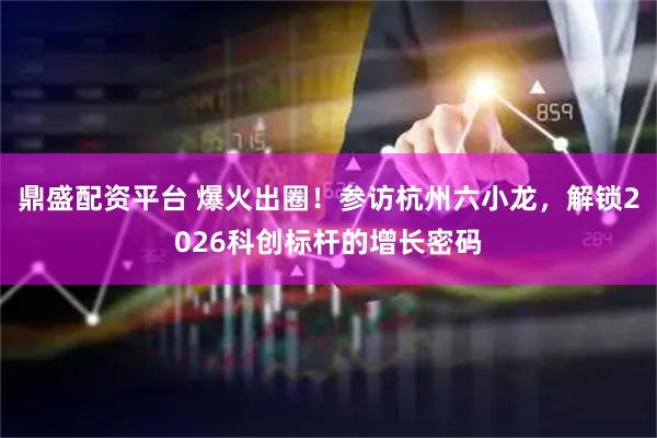 鼎盛配资平台 爆火出圈！参访杭州六小龙，解锁2026科创标杆的增长密码
